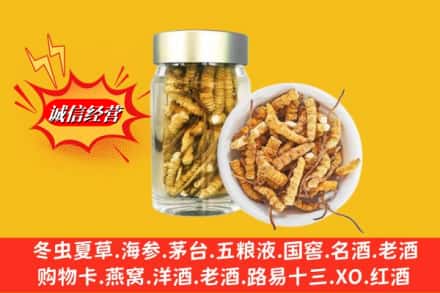 临沂市兰山回收散虫草