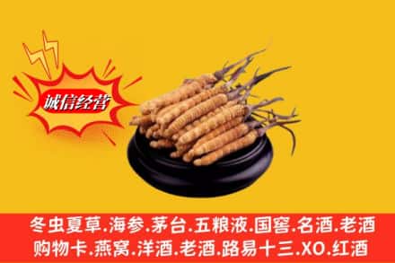 临沂市兰山求购回收虫草多少钱每克